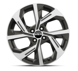 Lichtmetalen velgenset 17 inch Andong met Goodyear All Season banden
