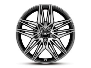 Lichtmetalen velg 19 inch GT voorzijde