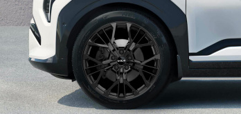 Lichtmetalen velgenset 20 inch MATISSE volledig zwart met TPMS en zomerbanden